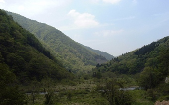 yama-tuka.jpg